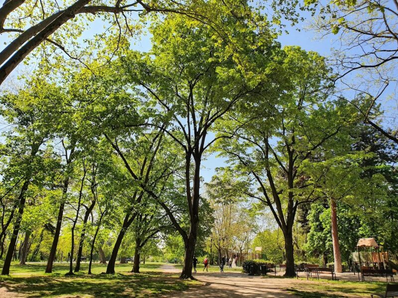 Où pique-niquer à Lyon : nos spots préférés par arrondissement parc chambovet Suzanne Tele