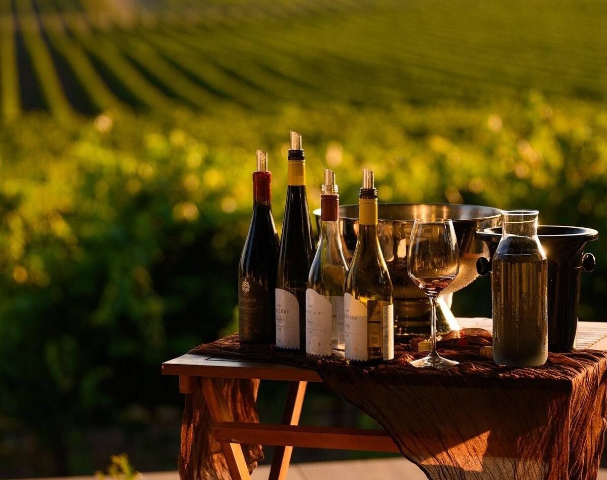 soirée vin degustation br cave à vin événement lyon été
