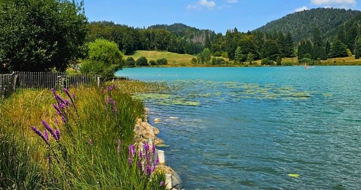 Lac des sapins en ete e1784646124299