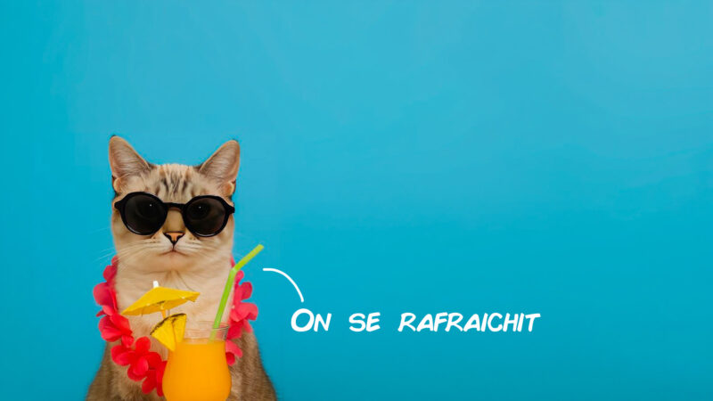 Que faire à Lyon ce week-end ? 