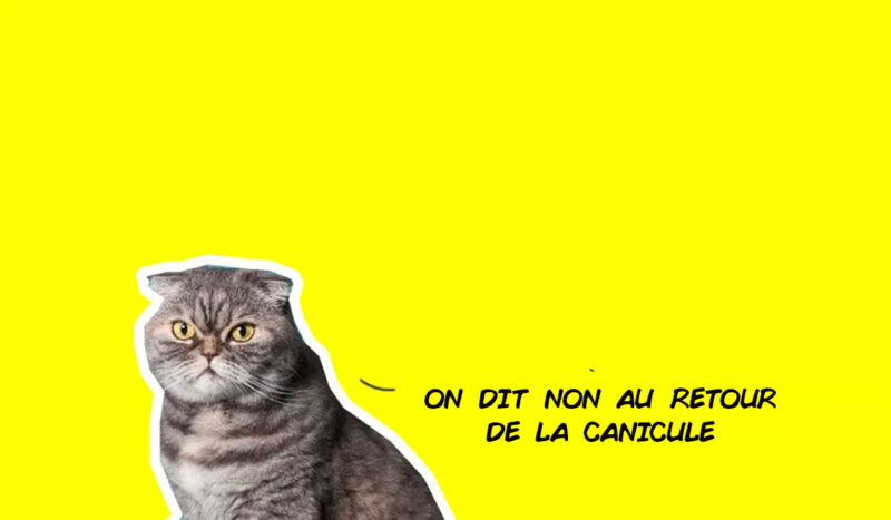 Que faire à Lyon ce week-end ? Agenda des sorties Que faire à Lyon ce week-end ? Agenda des sorties