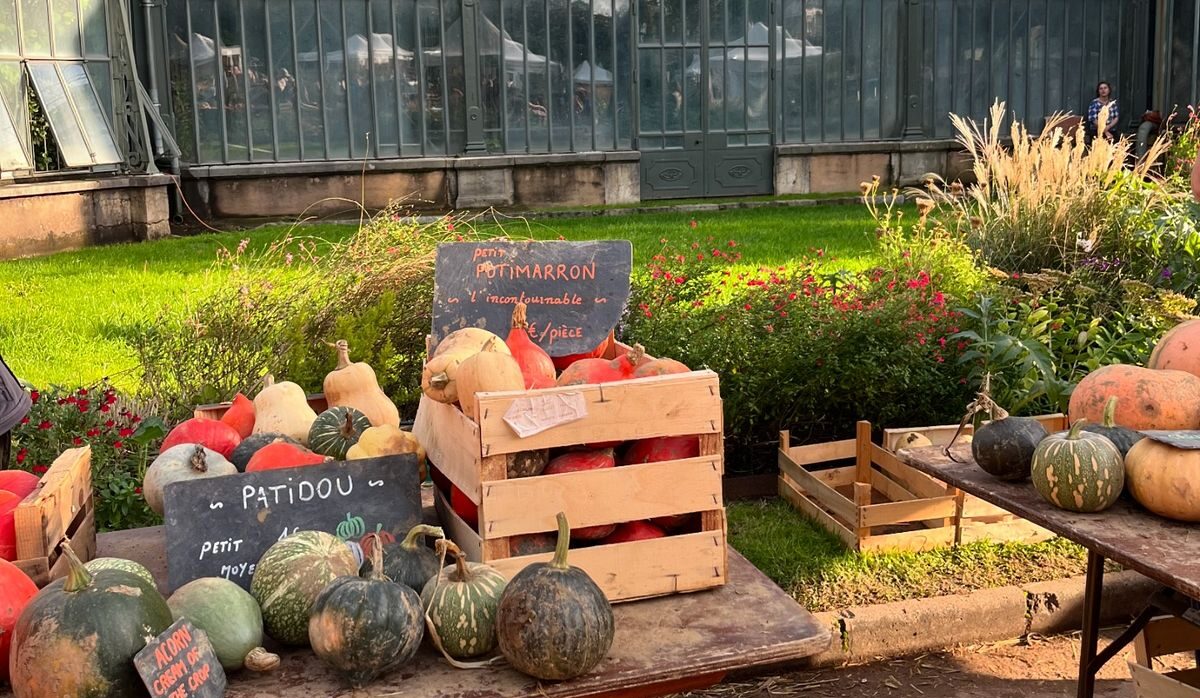 gratuit en automne lyon