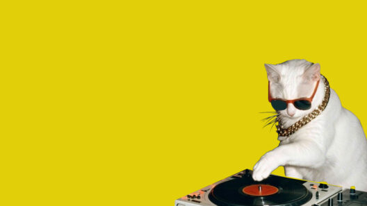 Que faire à Lyon ce week-end - Agenda des sorties