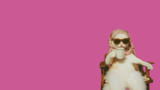 Que faire à Lyon ce week-end ?