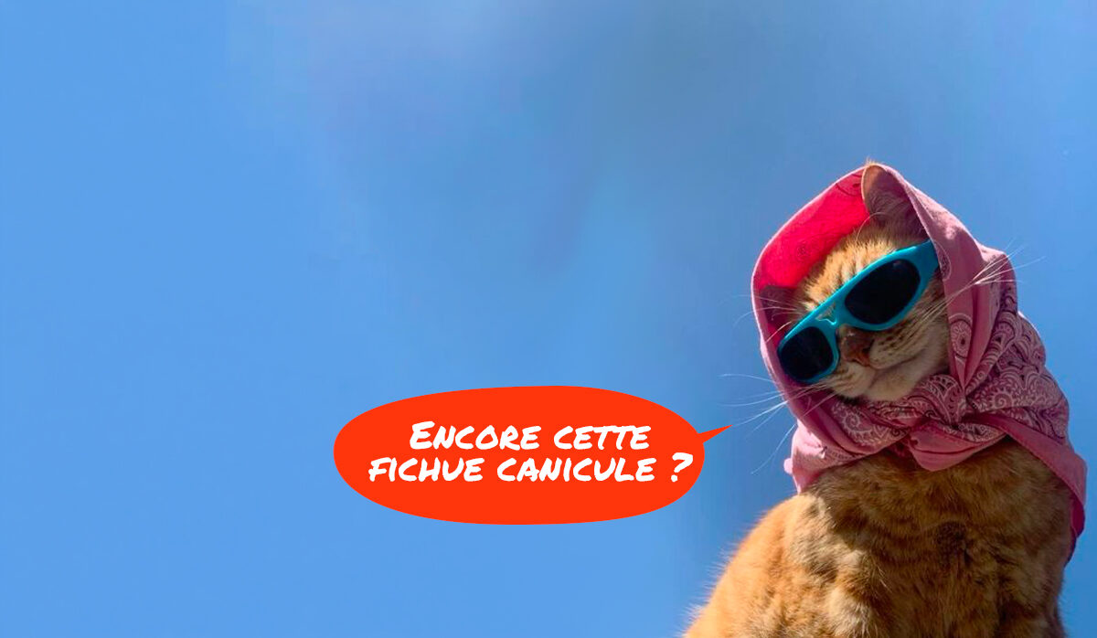 Que faire a Lyon ce week end Septembre 2026 3
