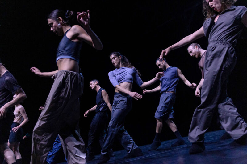 Christos Papadopoulos à la Maison de la Danse