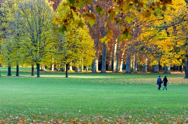journée en 10 étapes parc de la tête d'or 