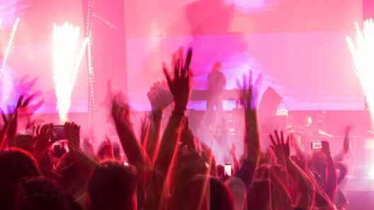 les meilleures soirée lyon club tech techno acid