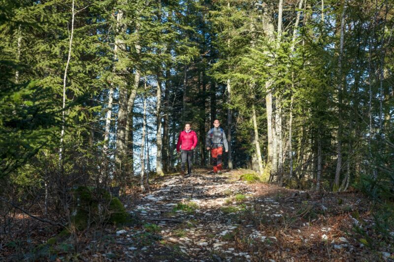 Bain de forêt dans le Haut Bugey