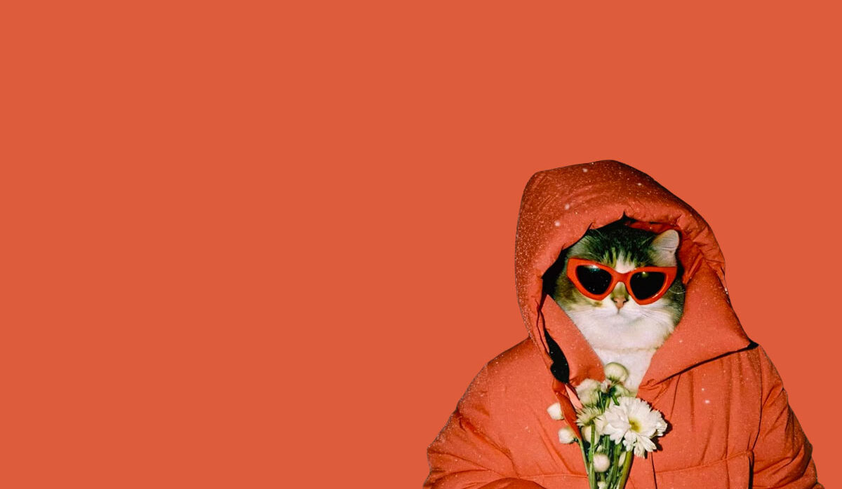 Les bons plans du week-end de CityCrunch