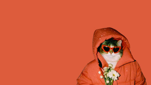 Les bons plans du week-end de CityCrunch