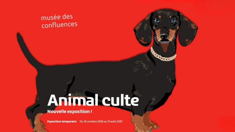 Que faire à Lyon ce week-end ? (30, 31 octobre et 1 novembre 2026) animal culte musee des confluences