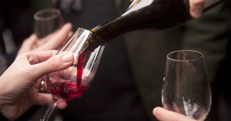 Que faire à Lyon en novembre 2026 : 10 événements à ne surtout pas rater beaujolais nouveau