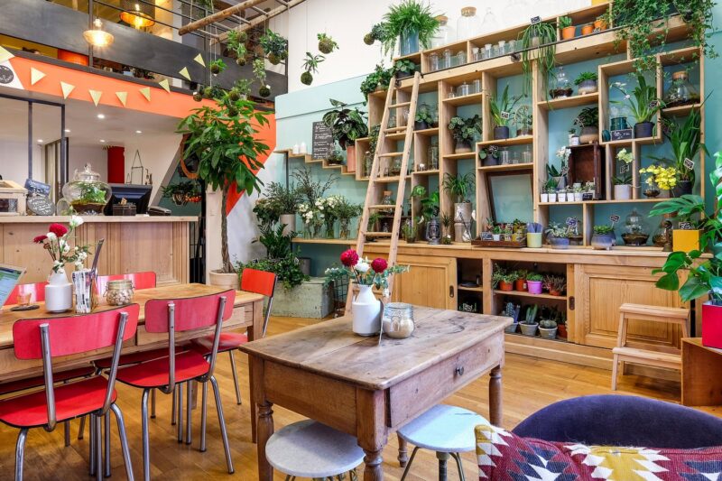 La décoration végétale et les plantes du coffee shop Un brin de Folie à Lyon