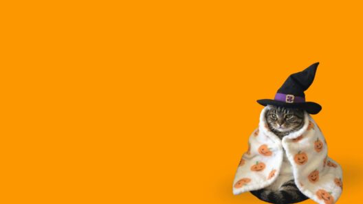 Agenda du week-end à Lyon - Tous les bons plans sorties